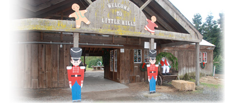 Little Hills Barn