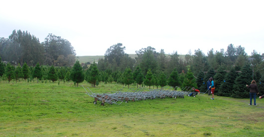 The Farm at Little Hills